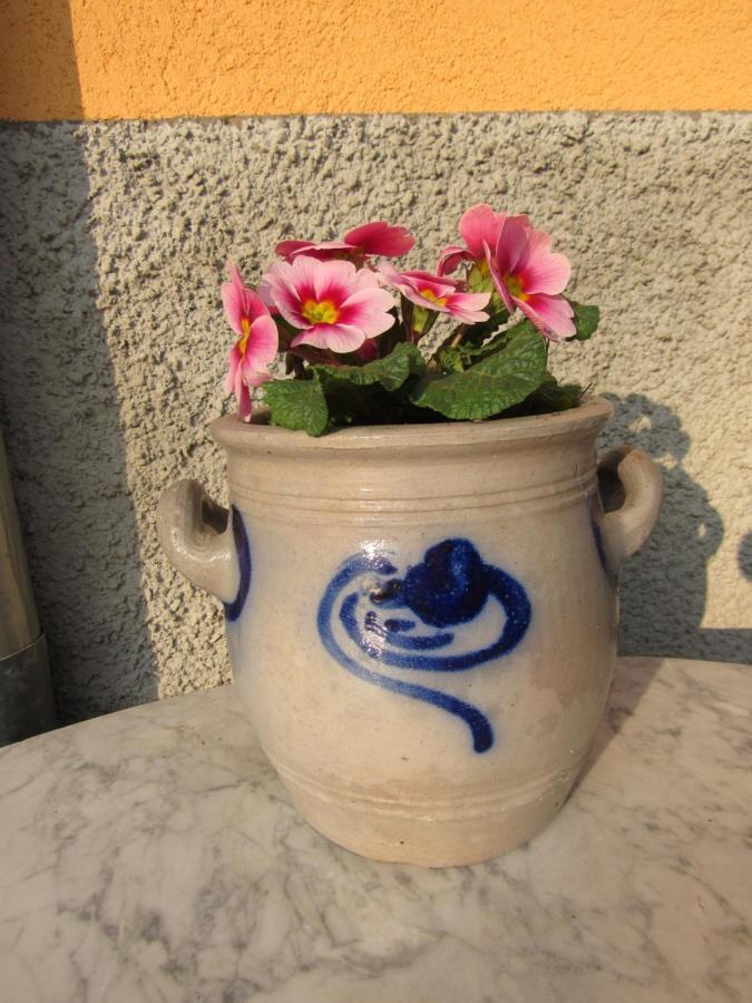 Appartement Le Vigneron